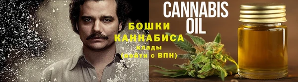 гидра Бородино