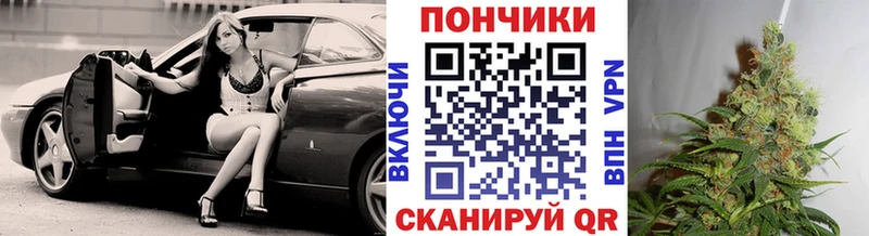 Шишки марихуана ГИДРОПОН  Железноводск 